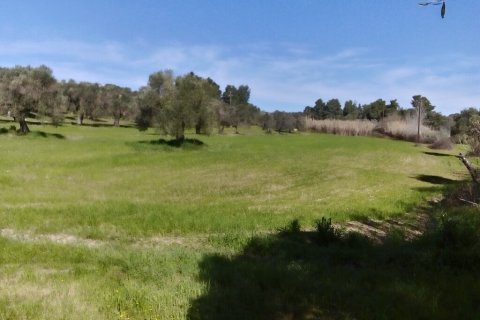 18480m² Land in Chalkidiki, Greece No. 58214 3