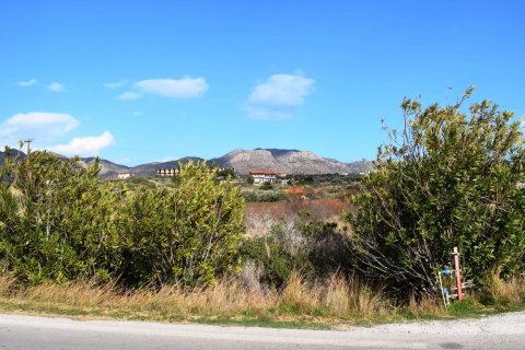 10500m² Land en Chania, Greece No. 58299 6