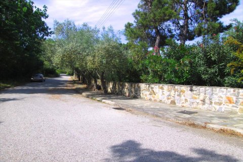 4 dormitorios Villa en Chalkidiki, Greece No. 59682 20