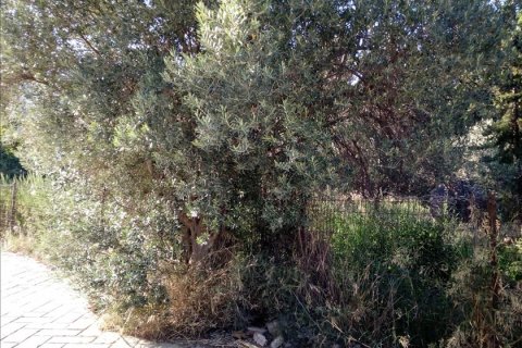 500m² Land in Kifisia, Greece No. 56892 3