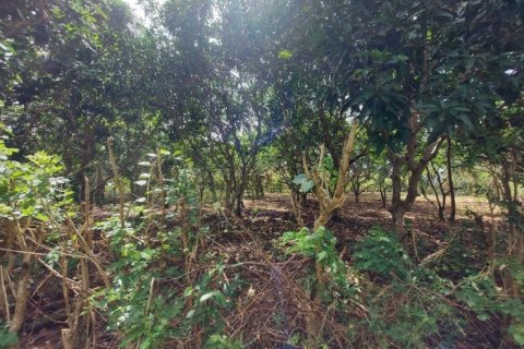 Land in Jimbaran, Indonesia No. 23444 8