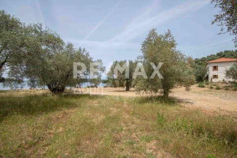 5344m² Land en Magnesia, Greece No. 24288 21