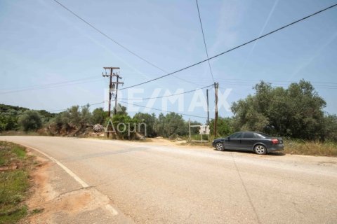 5344m² Land en Magnesia, Greece No. 24288 11