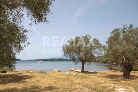 5344m² Land en Magnesia, Greece No. 24288 8