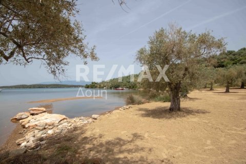 5344m² Land in Magnesia, Greece No. 24288 14