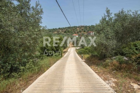 5344m² Land en Magnesia, Greece No. 24288 13