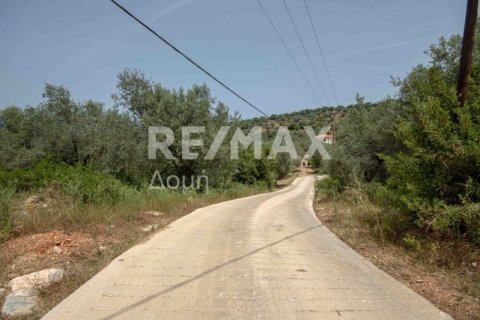 5344m² Land in Magnesia, Greece No. 24288 12