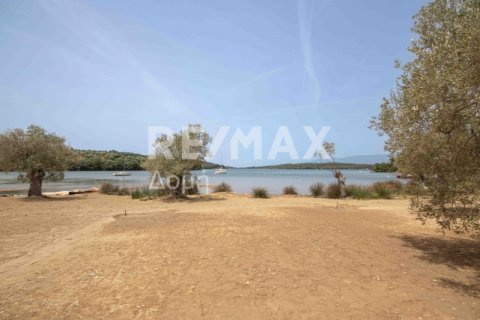 5344m² Land en Magnesia, Greece No. 24288 6