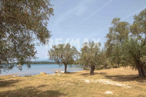 5344m² Land en Magnesia, Greece No. 24288 7