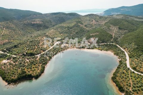 5344m² Land en Magnesia, Greece No. 24288 3