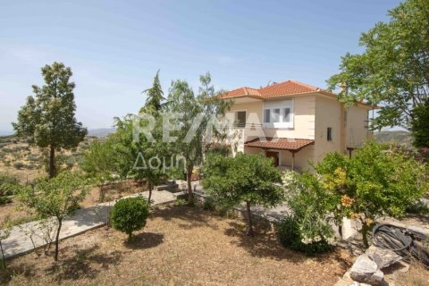 3 dormitorios House en Magnesia, Greece No. 24292 6