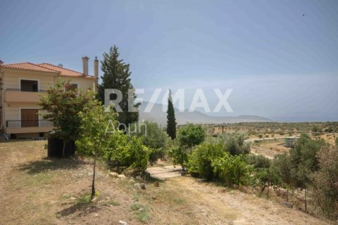 3 bedrooms House in Magnesia, Greece No. 24292 10