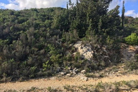 Land in Zakynthos, Greece No. 28091 9