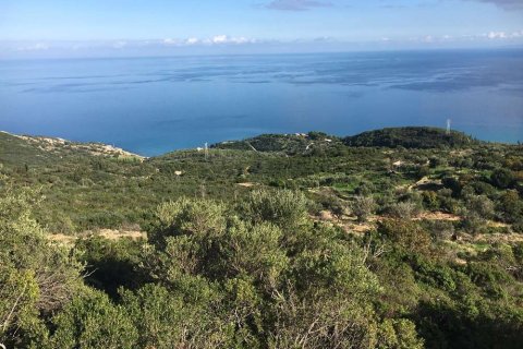 Land in Zakynthos, Greece No. 28091 10