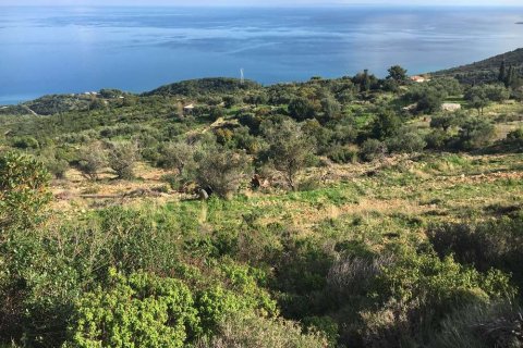 Land in Zakynthos, Greece No. 28091 7