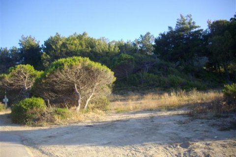 Land à Zakynthos, Greece No. 28093 5