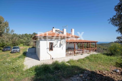 6 dormitorios Maisonette en Magnesia, Greece No. 28009 4