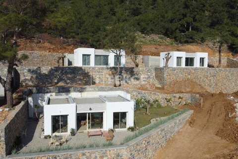 3+1 Villa in Bodrum, Turkey No. 42297 3