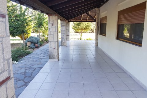 5 chambres House à Chalkidiki, Greece No. 60693 23