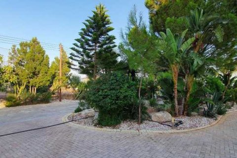 7 bedrooms House in Mazotos, Cyprus No. 77108 10