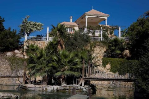 7 bedrooms House in Mazotos, Cyprus No. 77108 3
