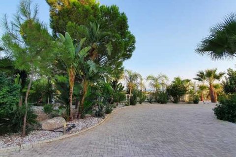 7 bedrooms House in Mazotos, Cyprus No. 77108 9