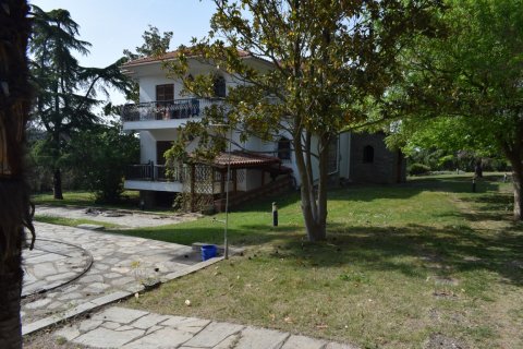 4 dormitorios House en Thermi, Greece No. 58127 14