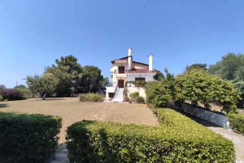 4 bedrooms Villa in Epanomi, Greece No. 55429 1