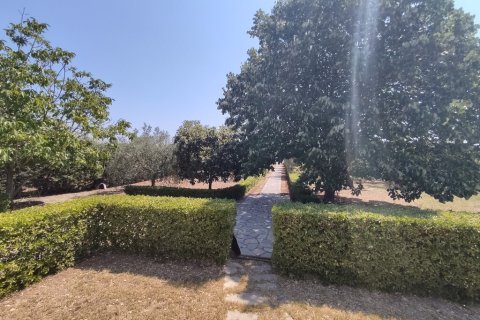 4 dormitorios Villa en Epanomi, Greece No. 55429 28