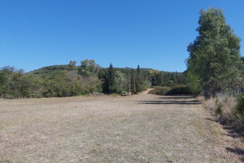 60000m² Land in Corfu, Greece No. 55868 4