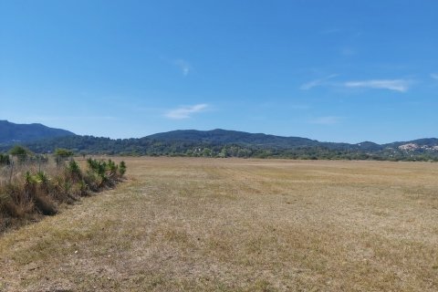 60000m² Land in Corfu, Greece No. 55868 9