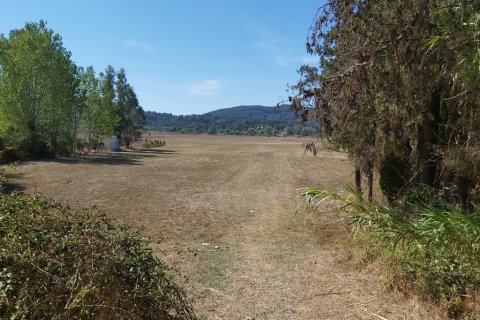 60000m² Land en Corfu, Greece No. 55868 11