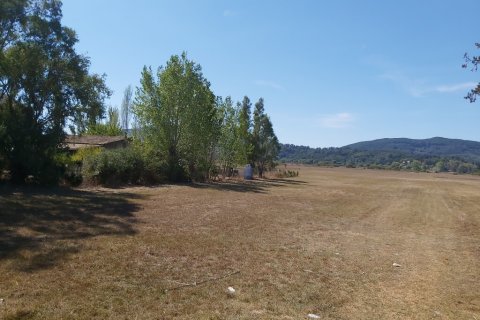 60000m² Land in Corfu, Greece No. 55868 13