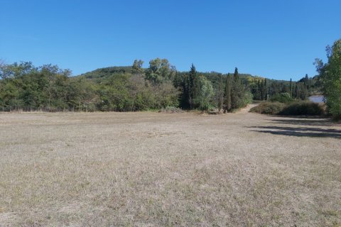 60000m² Land à Corfu, Greece No. 55868 7