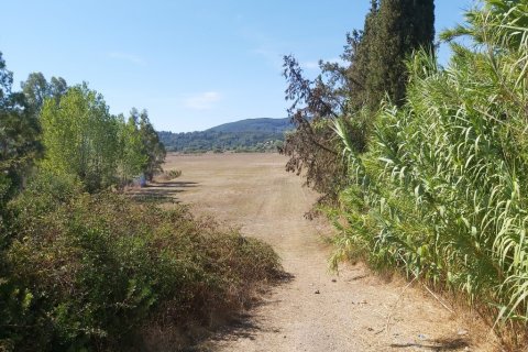 60000m² Land en Corfu, Greece No. 55868 12