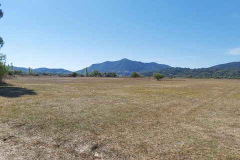 60000m² Land à Corfu, Greece No. 55868 3