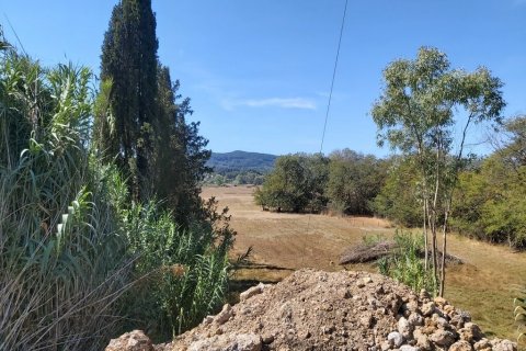 60000m² Land à Corfu, Greece No. 55868 15