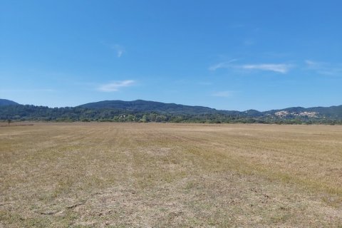 60000m² Land in Corfu, Greece No. 55868 5