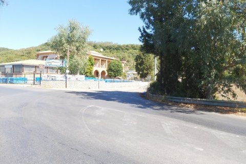 60000m² Land in Corfu, Greece No. 55868 20