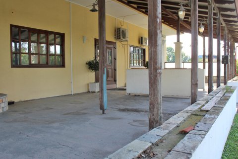 310m² Negocio en Katerini, Greece No. 55871 3