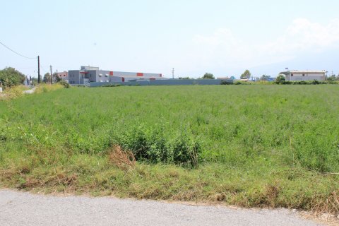 7642m² Land in Katerini, Greece No. 55872 2