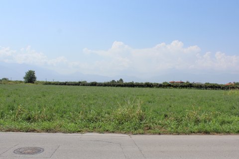 7642m² Land en Katerini, Greece No. 55872 3