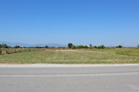 4800m² Land in Korinos, Greece No. 55345 1