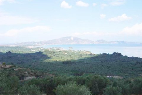 Land in Zakynthos, Greece No. 24731 1