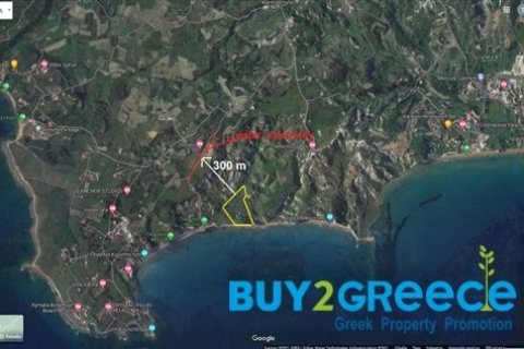 17000m² Land in Kefalonia, Greece No. 24808 5