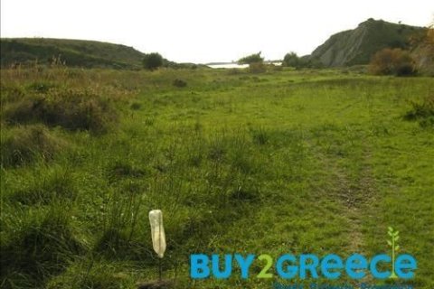 17000m² Land in Kefalonia, Greece No. 24808 4