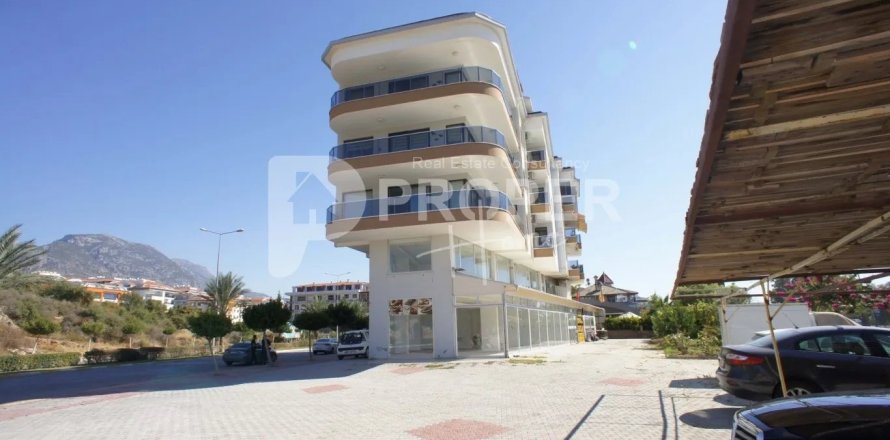 0+4 Apartment in Alanya, Turkey No. 13470