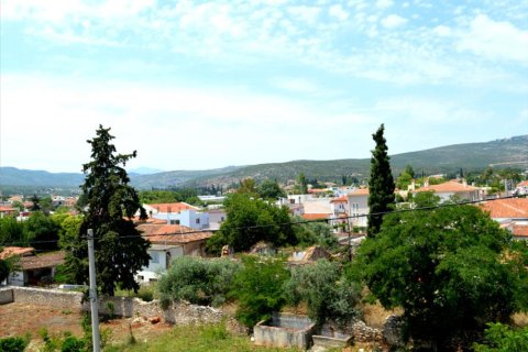 8 bedrooms Villa in Athens, Greece No. 49920 11