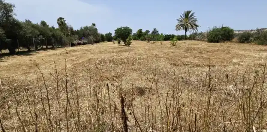 3377m² Land in Agia Marinouda, Cyprus No. 36338