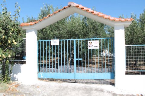 1 chambre Villa à Chalkidiki, Greece No. 48888 13